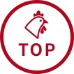 トップに戻るボタン